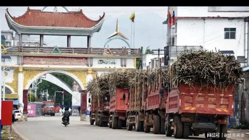 果敢上萬噸甘蔗進入云南 圣母心網友 可幫建工廠,促進當地發展