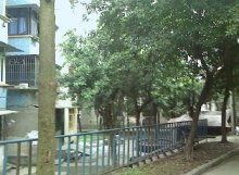 大江廠一組團 安居客房產(chǎn)百科