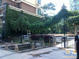 新亞100 真房源,財富中心3房全新裝修,帶全套家具家電3500 月 房產頻道 云南信息網