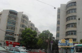 國貿(mào)中心旁日新商業(yè)街精裝2室?guī)Ъ揖呒译姵鲎? class=